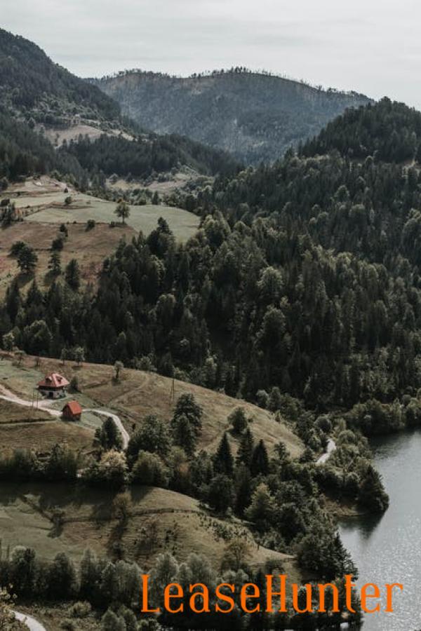 Hunting Land for Lease Your Complete Guide to Hunting Leases LeaseHunter